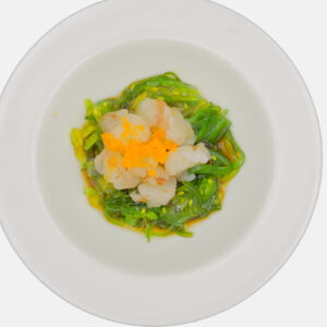 303/ TARTARE AMAEBI PLUS
