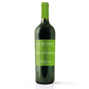 FALANGHINA IGT